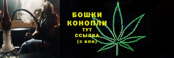 сатива Билибино