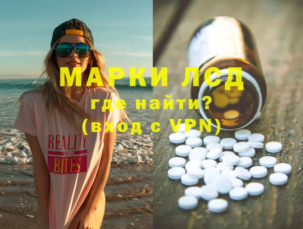 ПСИЛОЦИБИНОВЫЕ ГРИБЫ Бикин