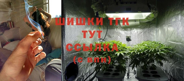 apvp Верея